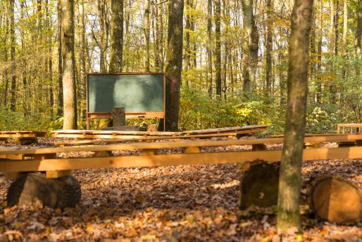 Enseignement et apprentissage des sciences en plein air à l’école