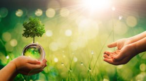 L’environnement à l’école