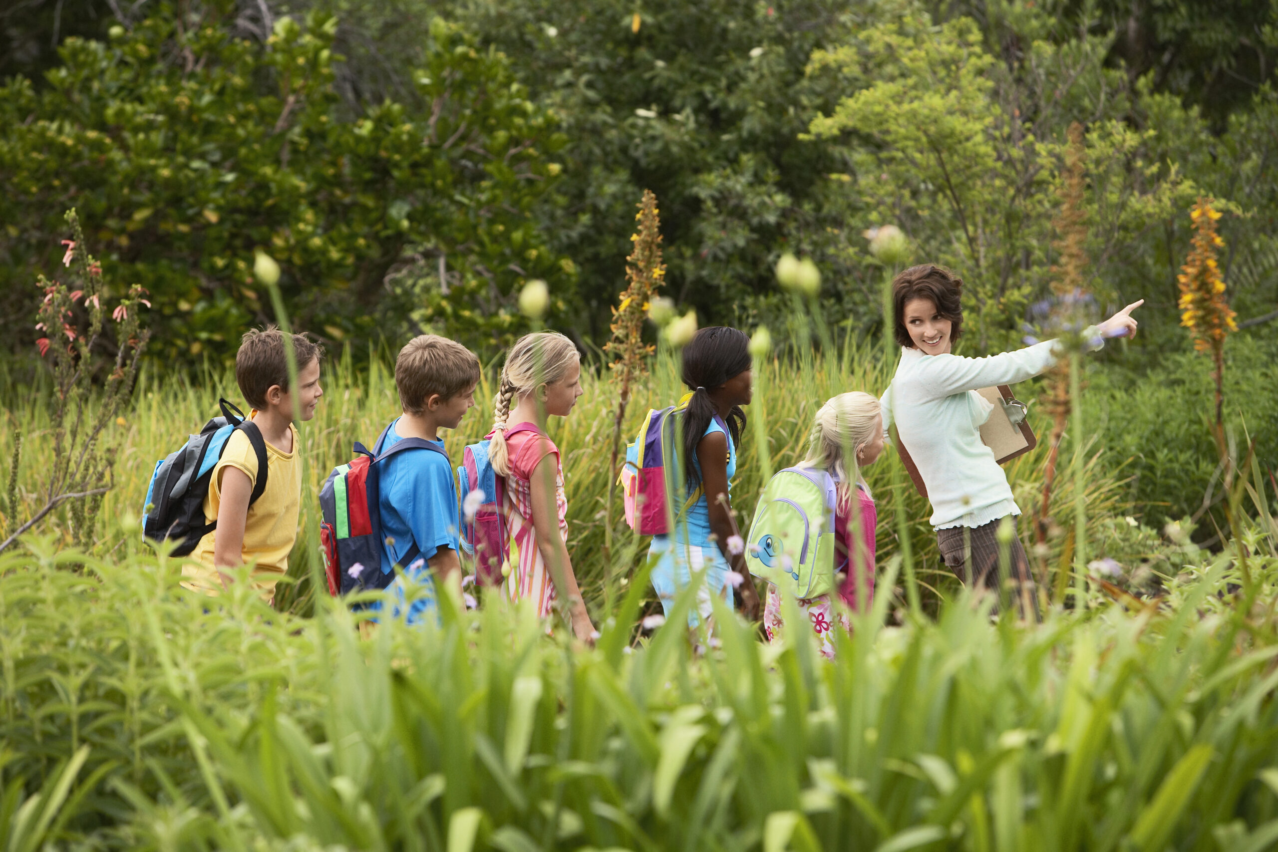 Enseignement en plein air