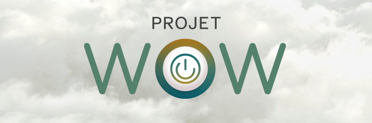 Projet WOW : une approche collaborative à la formation générale aux adultes pour le développement de la compétence numérique